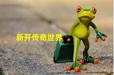 传奇私服传奇私服,新开传奇私服发布网每天都有新开大区